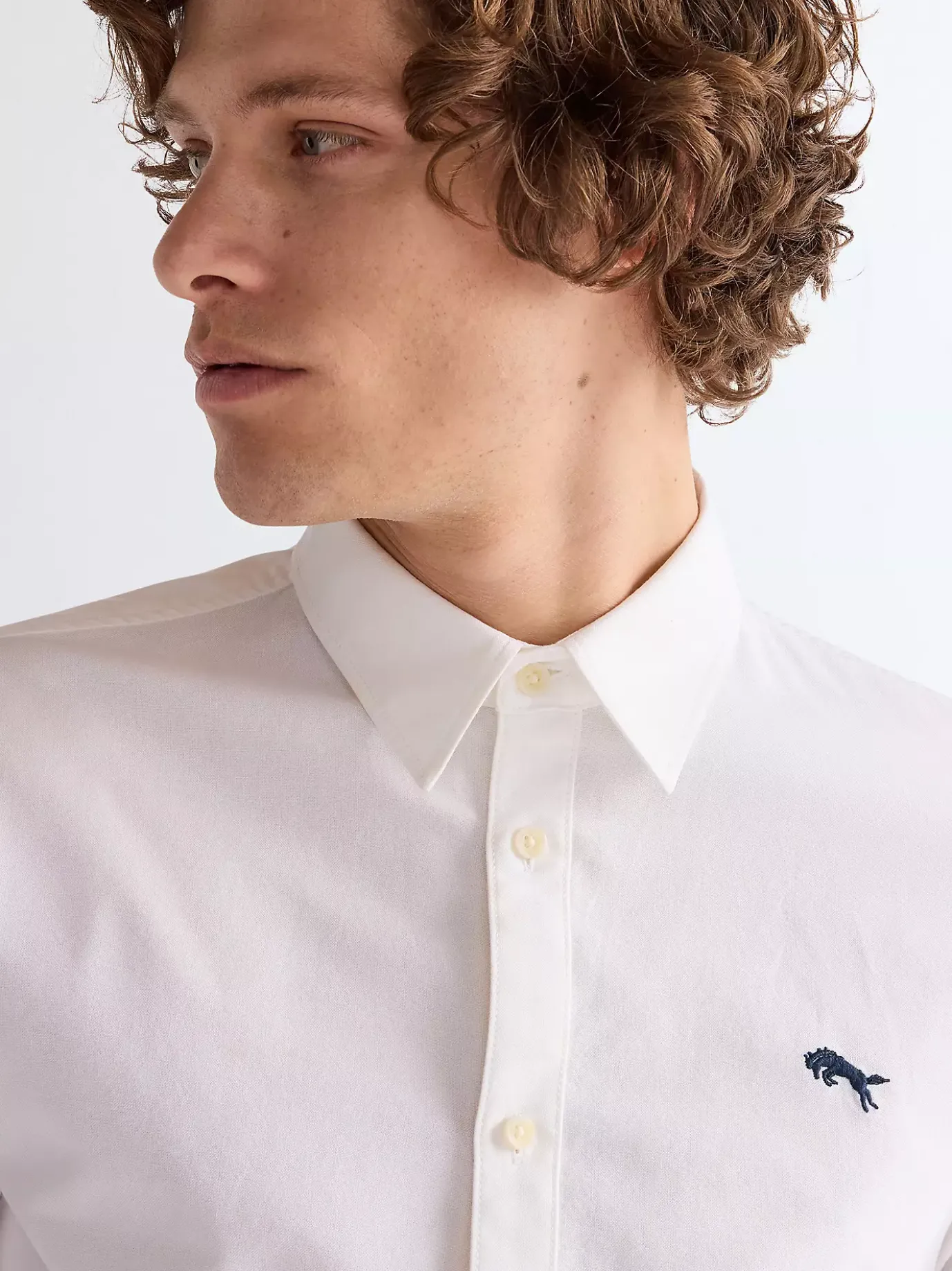 Long Sleeve Regular Shirt