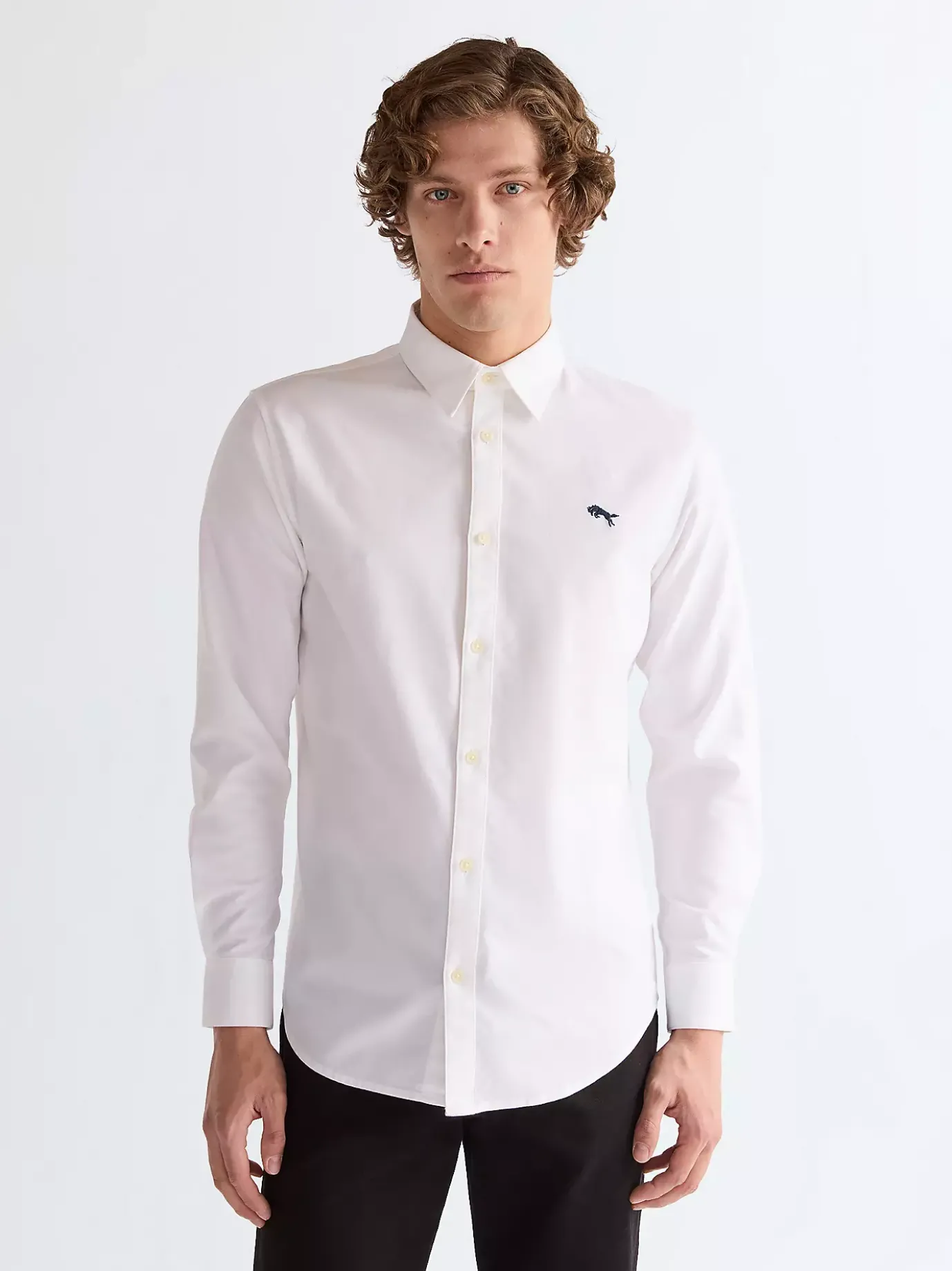 Long Sleeve Regular Shirt